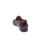 158 185 Castanho4_1-4